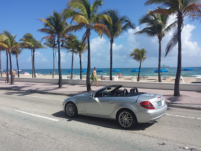miami, usa, nature, beach
